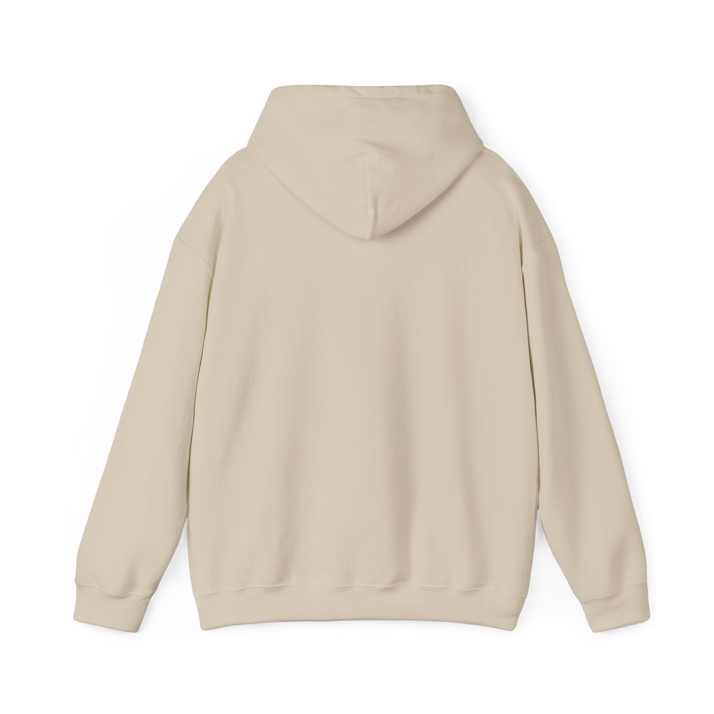 Breath of Life 'Genesis 27' Graphic – Faith-Inspired Pullover