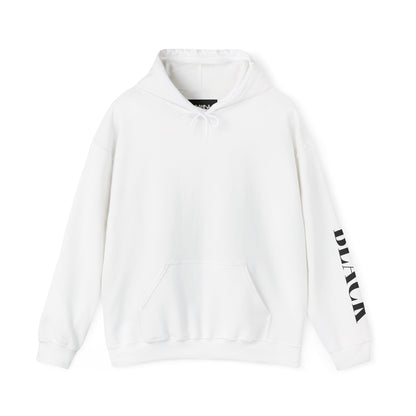 Black and White Hoodie (B&W)